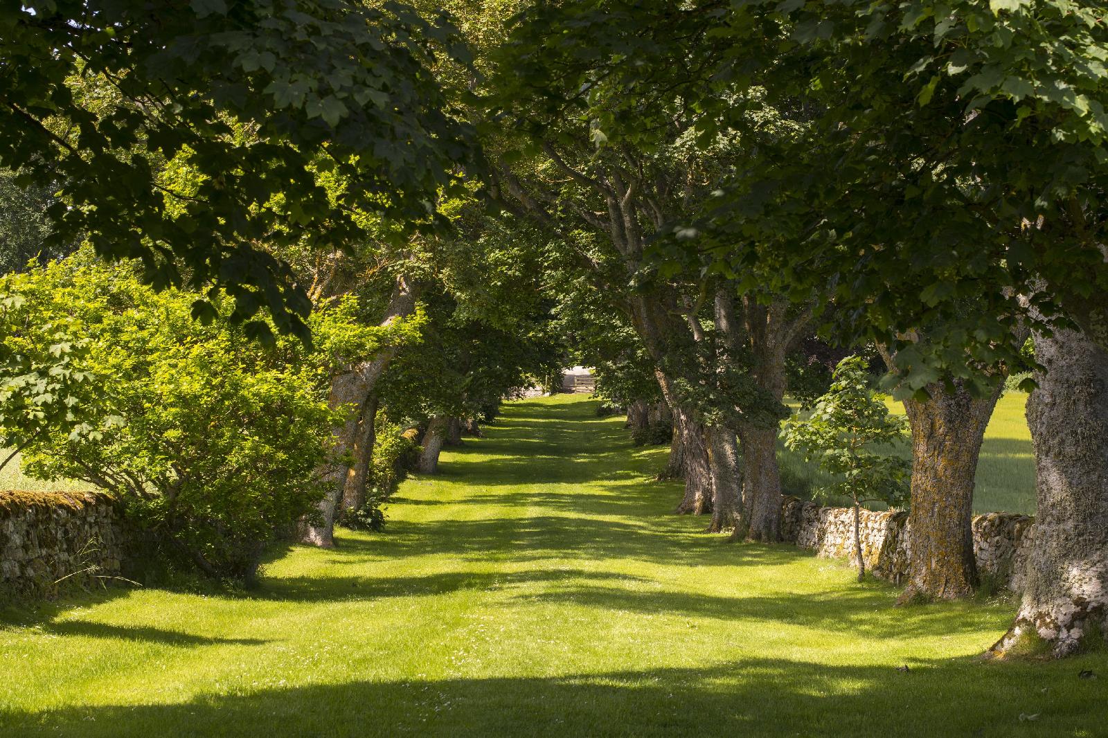 Glenmorangie House