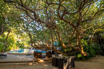 Paradise Oceanic Hotel