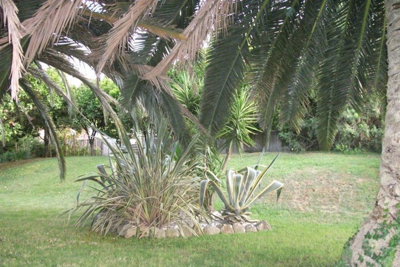 Apartments Margarita