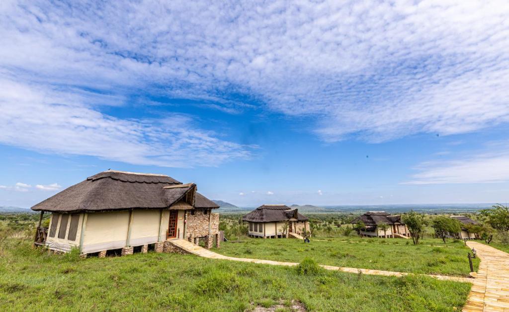 Serengeti Sopa Lodge