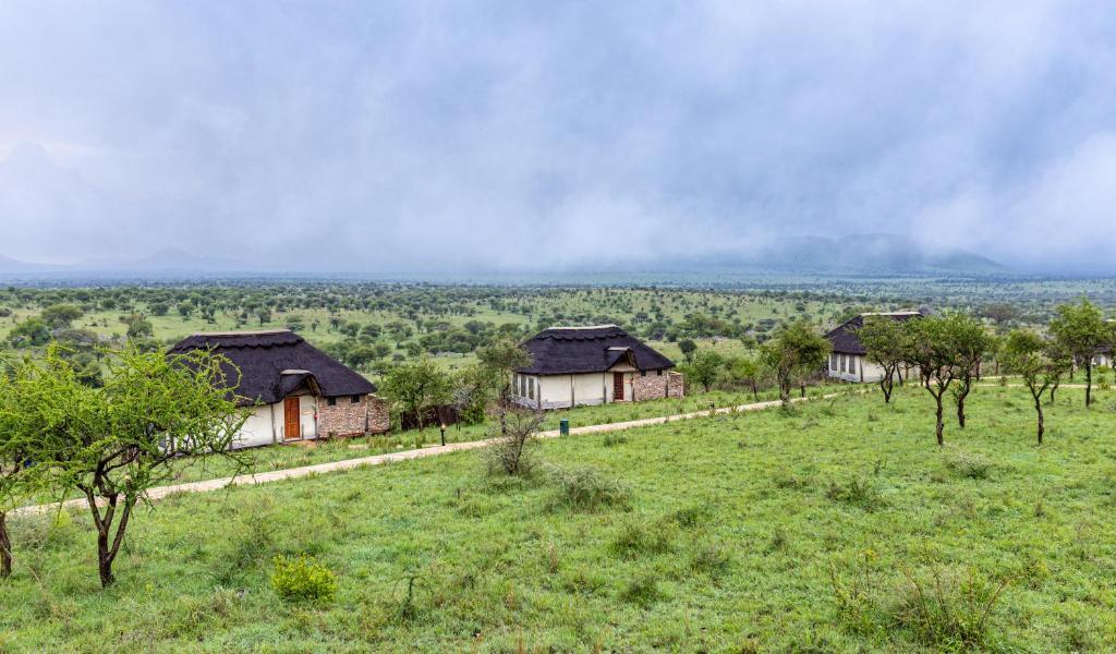 Serengeti Sopa Lodge