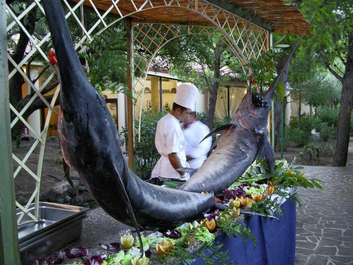 Palmasera Village Resort
