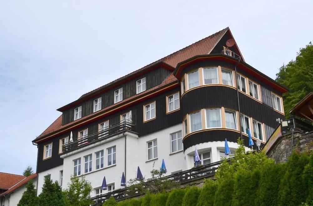 Zum Harzer Jodlermeister