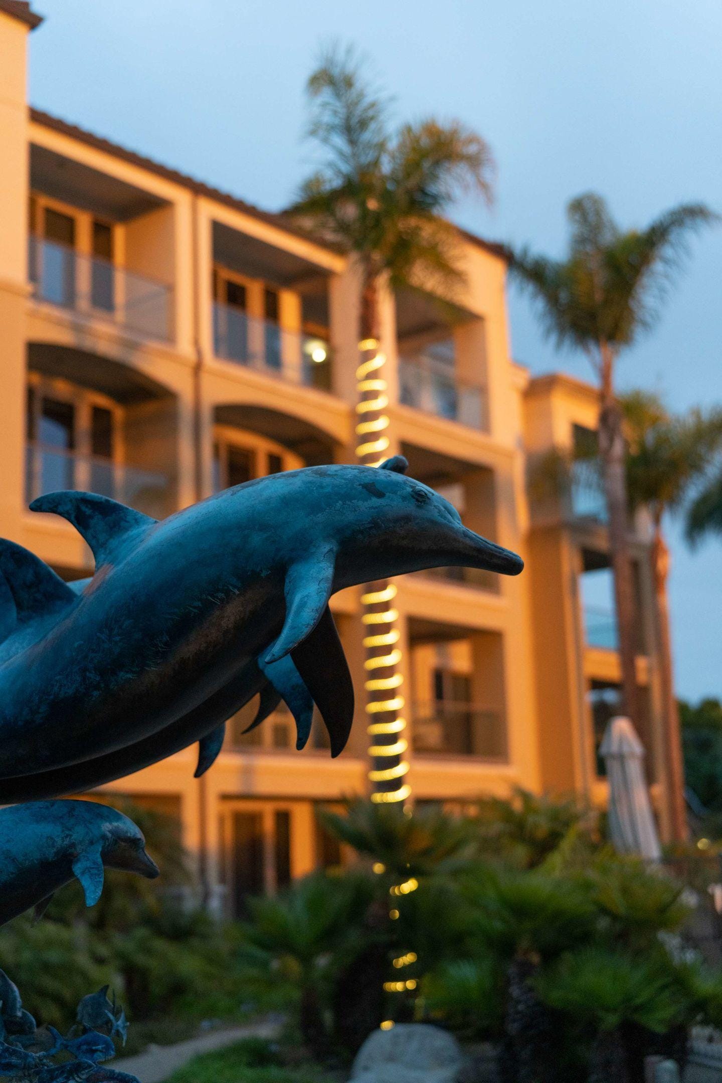 Dolphin Bay Resort & Spa
