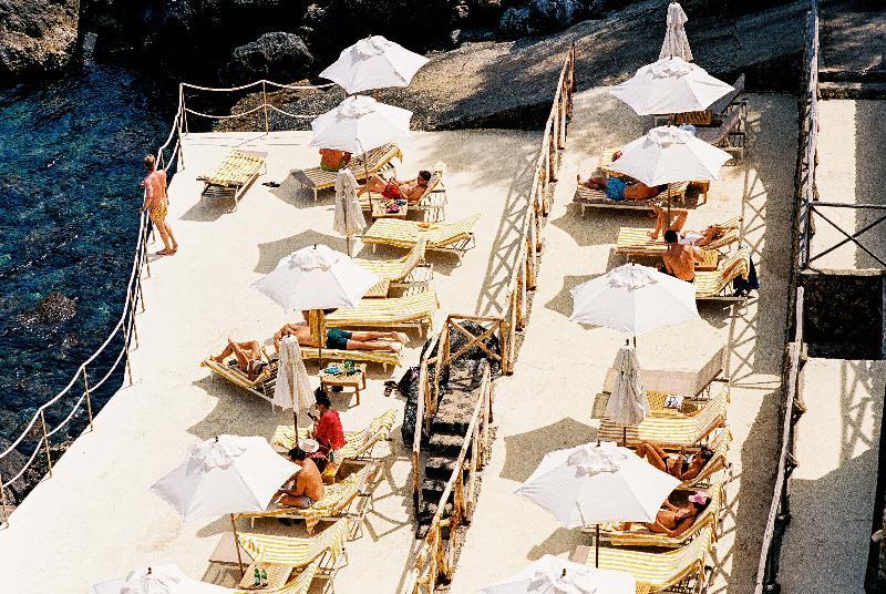 Il Pellicano