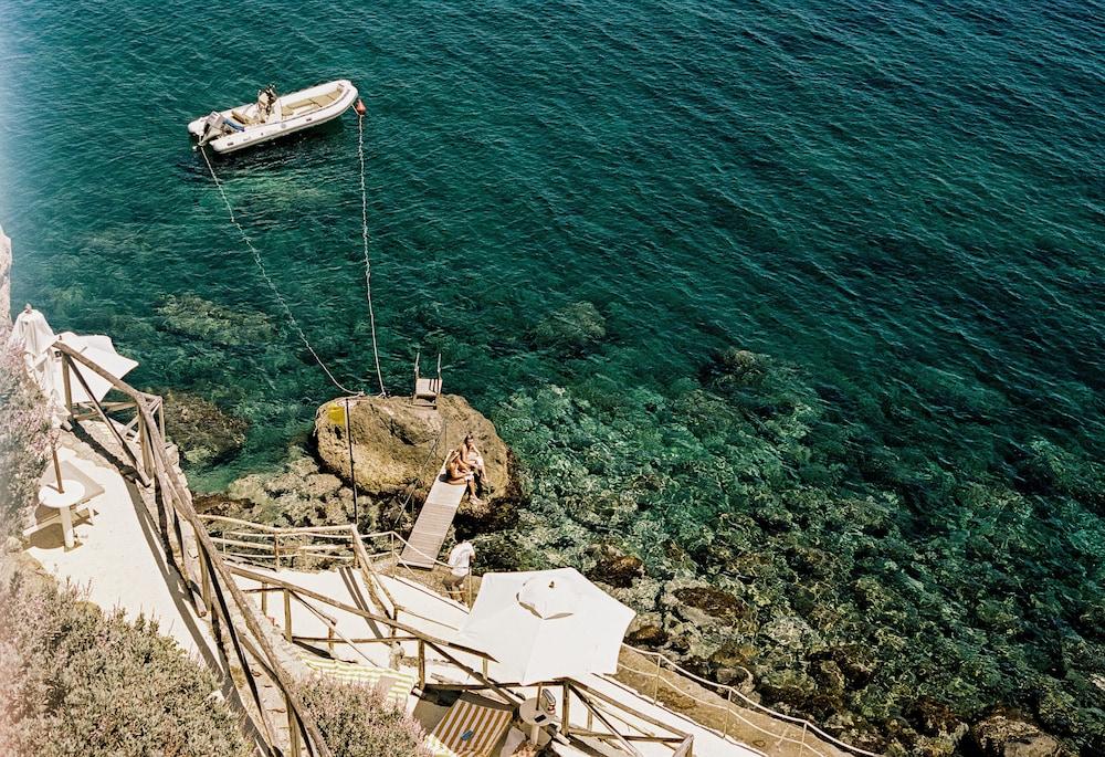 Il Pellicano