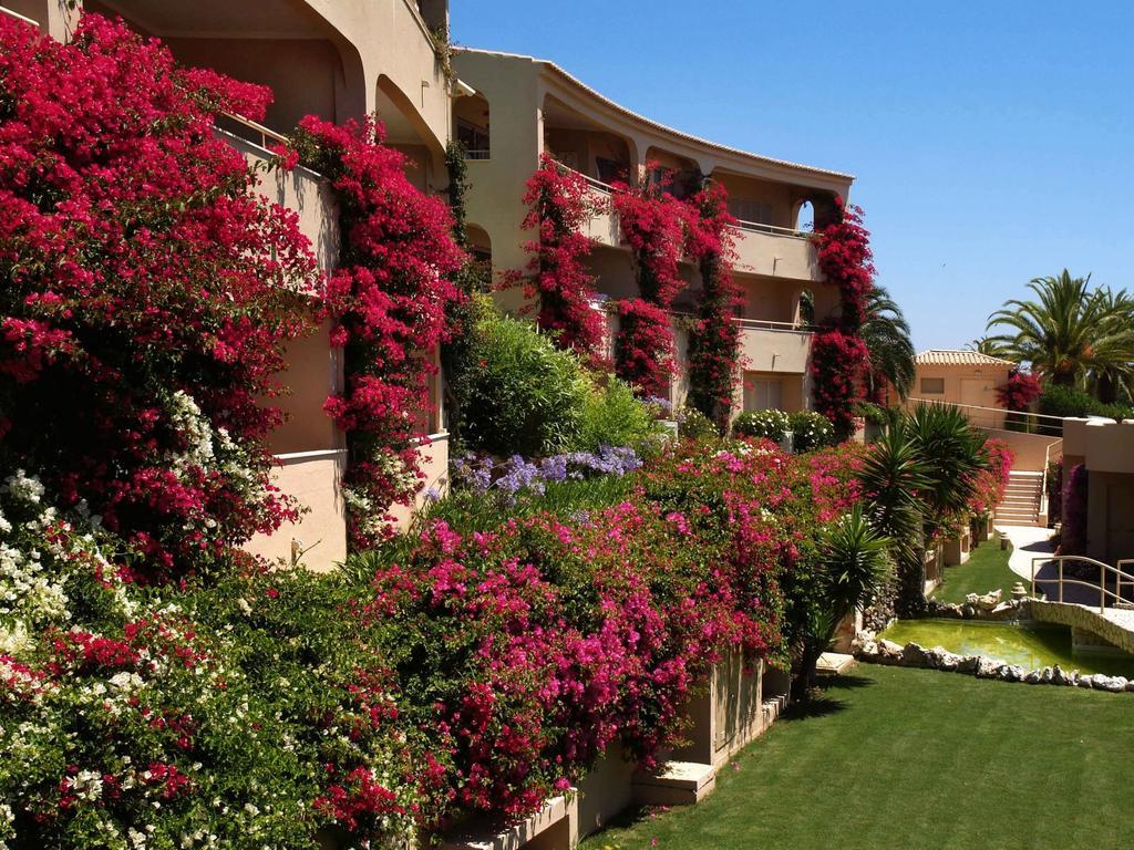 Vila Palmeira