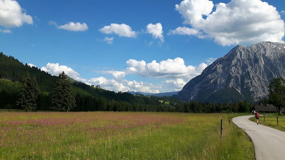 Schwaiger