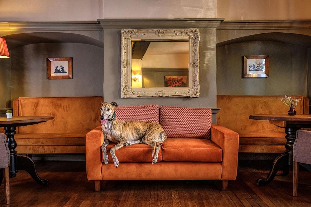 The Feathers Hotel