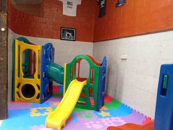 Pousada Juriti - Hotel Eco