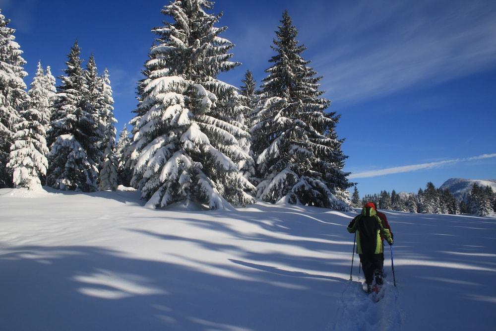 Panoramahotel Oberjoch