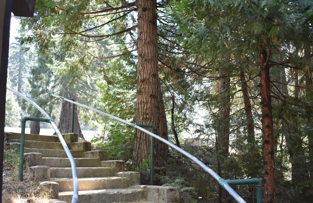 White Chief Mountain Lodge