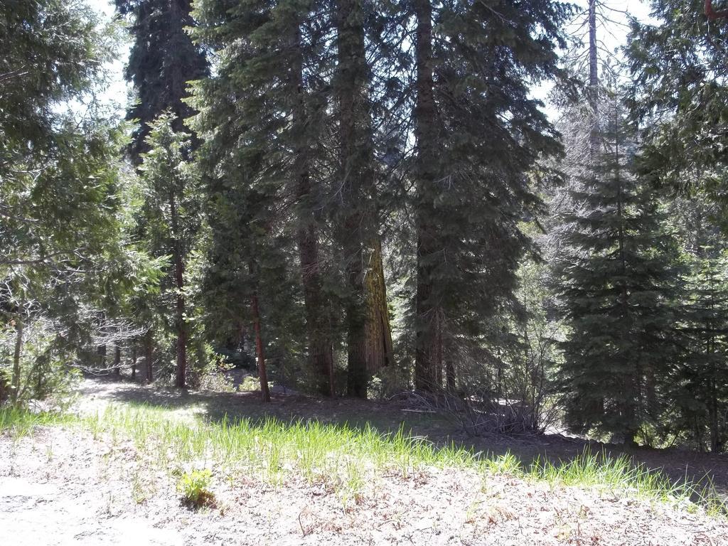 White Chief Mountain Lodge
