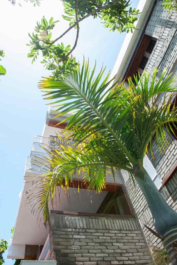 Apartamentos El Paseo