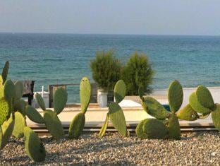 Beauty Beach Villa