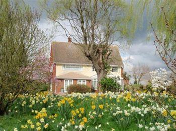 Newbridge House - B&B