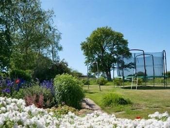 Dinas Farm