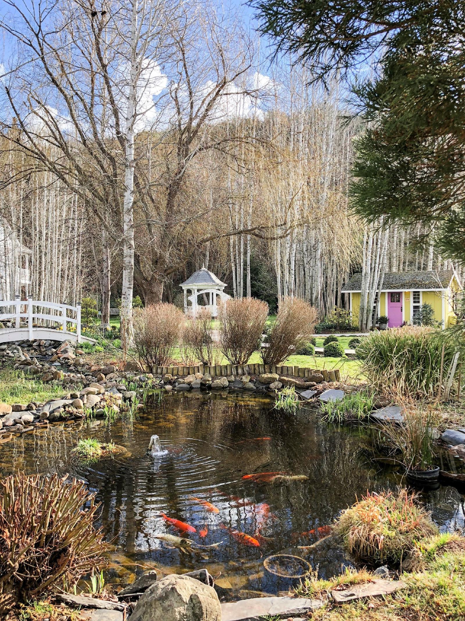 Lithia Springs Resort
