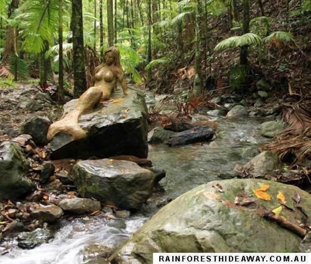 Rainforest Hideaway