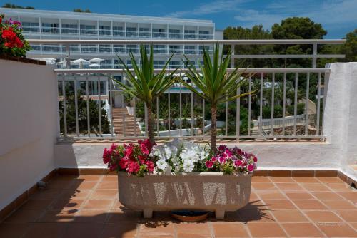 Apartments Es Puet Blanc