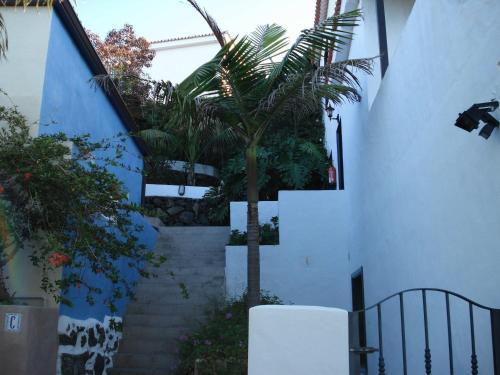 Apartments & Bungalows Finca Colón