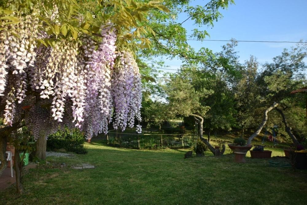 Le Mimose B&B