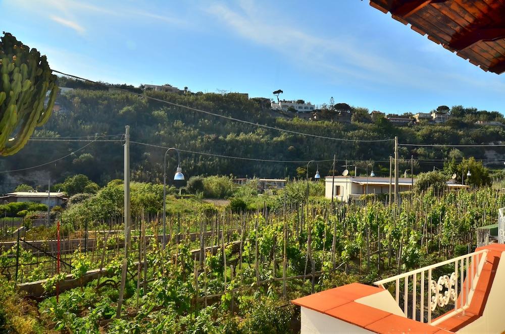 Hotel Villa Bernardina
