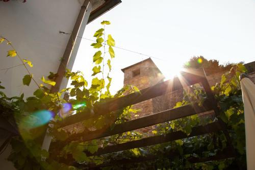 Gasthof Zum Goldenen Anker