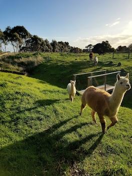 Clonmara Country House & Cottages