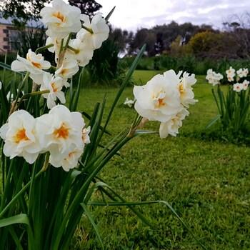 Clonmara Country House & Cottages