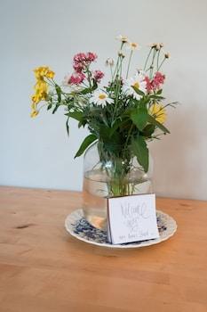 Clonmara Country House & Cottages