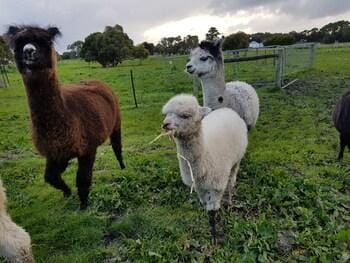 Clonmara Country House & Cottages