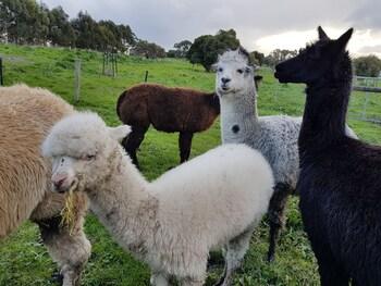 Clonmara Country House & Cottages