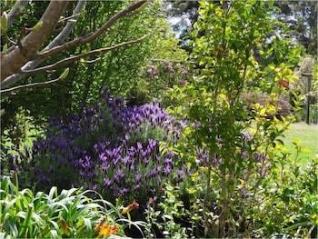 Big Brook Cottages