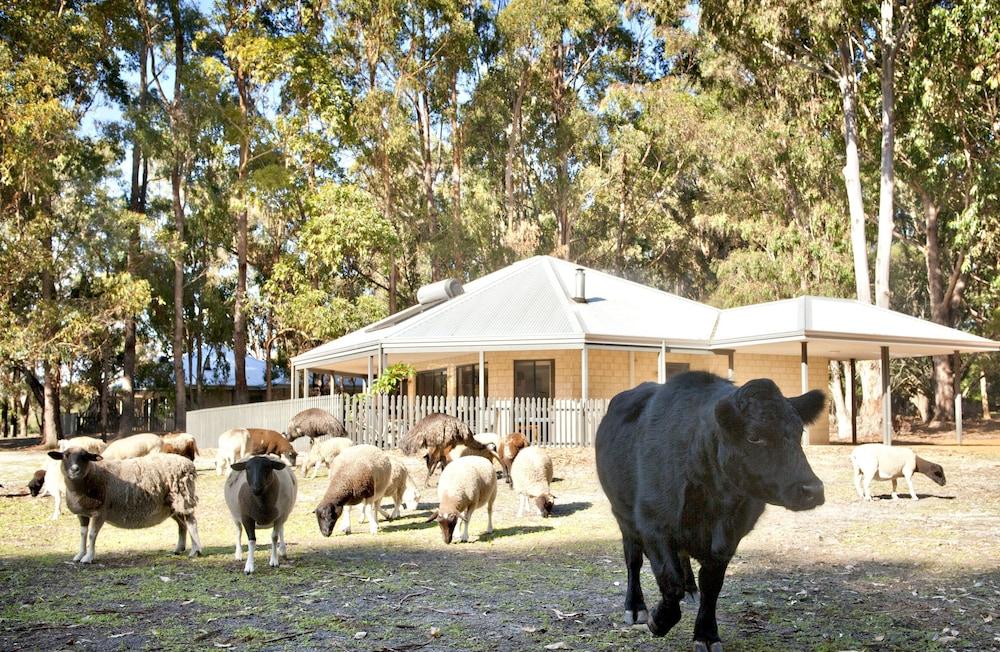 Margaret River Hideaway & Farmstay
