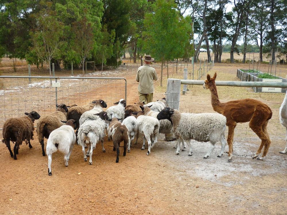 Margaret River Hideaway & Farmstay