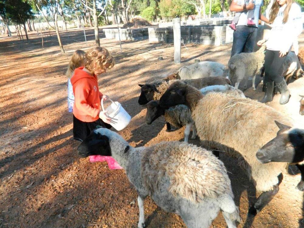 Margaret River Hideaway & Farmstay