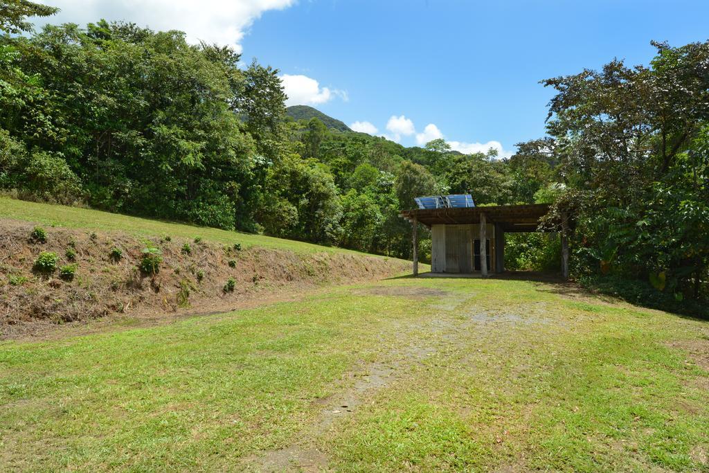 Tea Tree Cottage