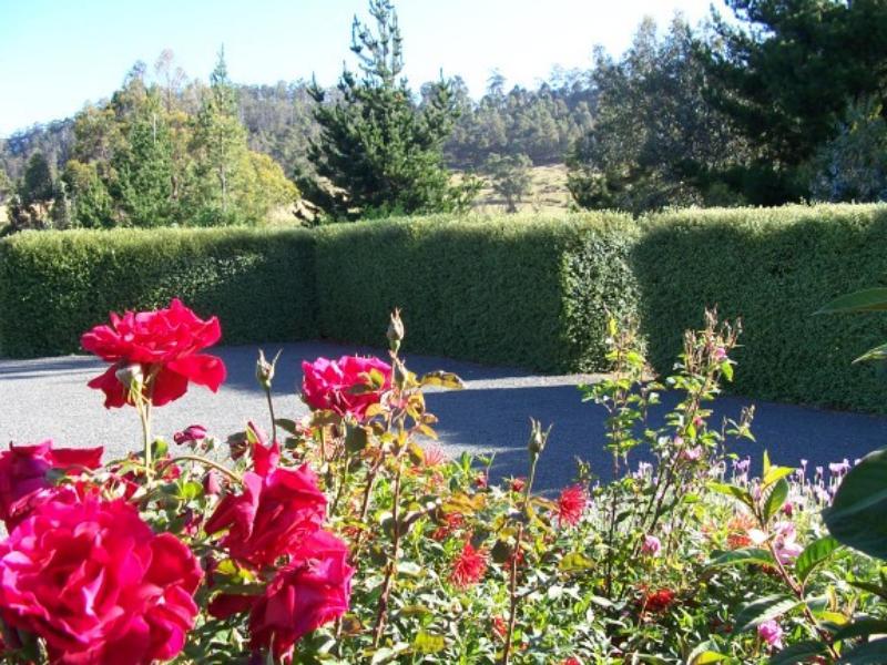 Donalea Bed and Breakfast & Riverview Apartment