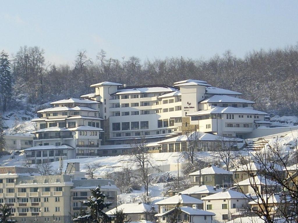 Kalina Palace