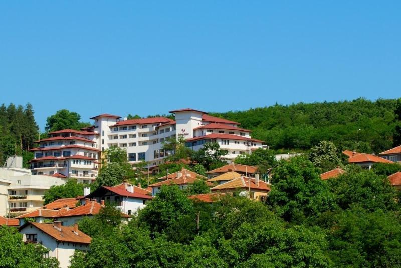 Kalina Palace