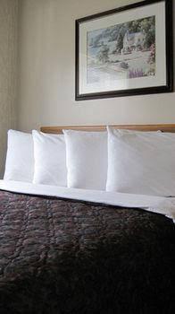 Bancroft Inn & Suites