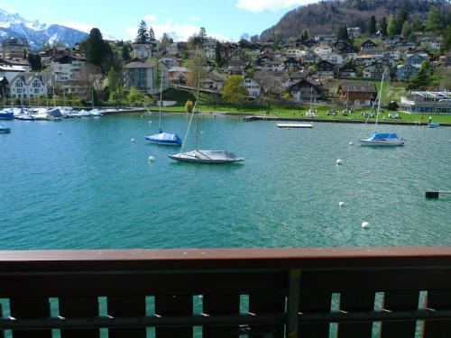 Seegarten Marina