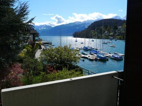 Seegarten Marina