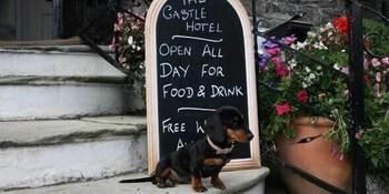 The Castle Hotel