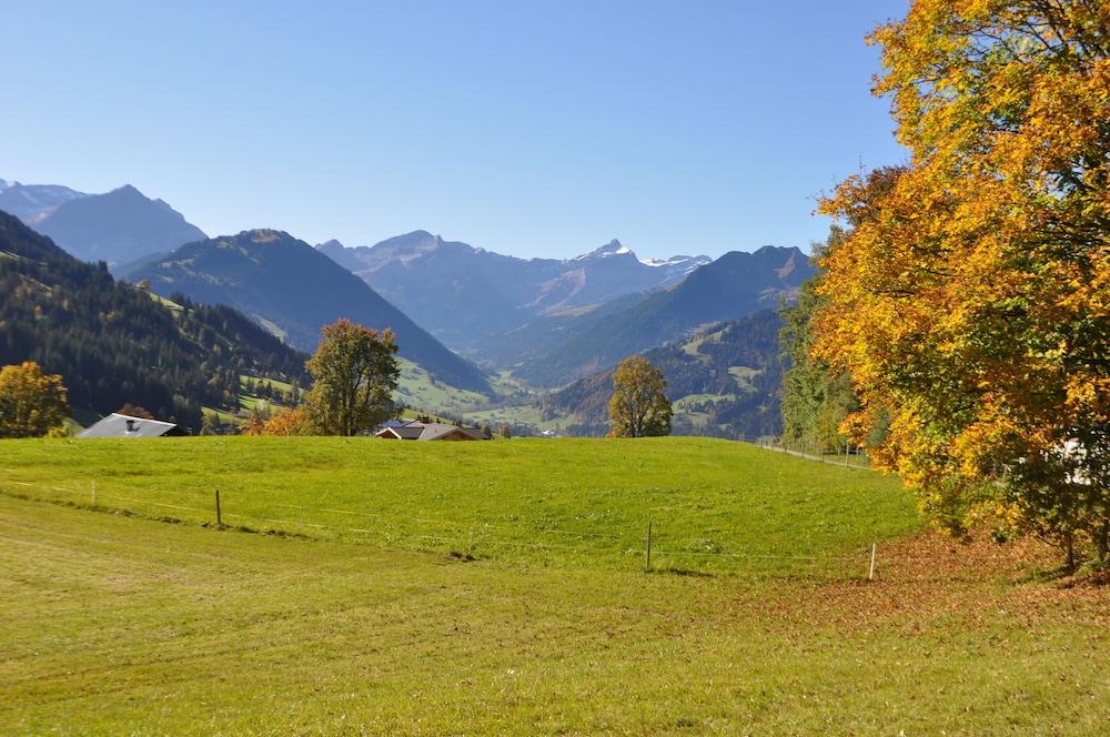 Chalet Weidhaus