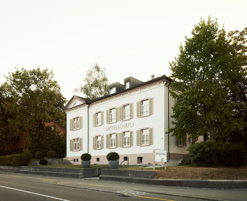 Hotel Schaefli