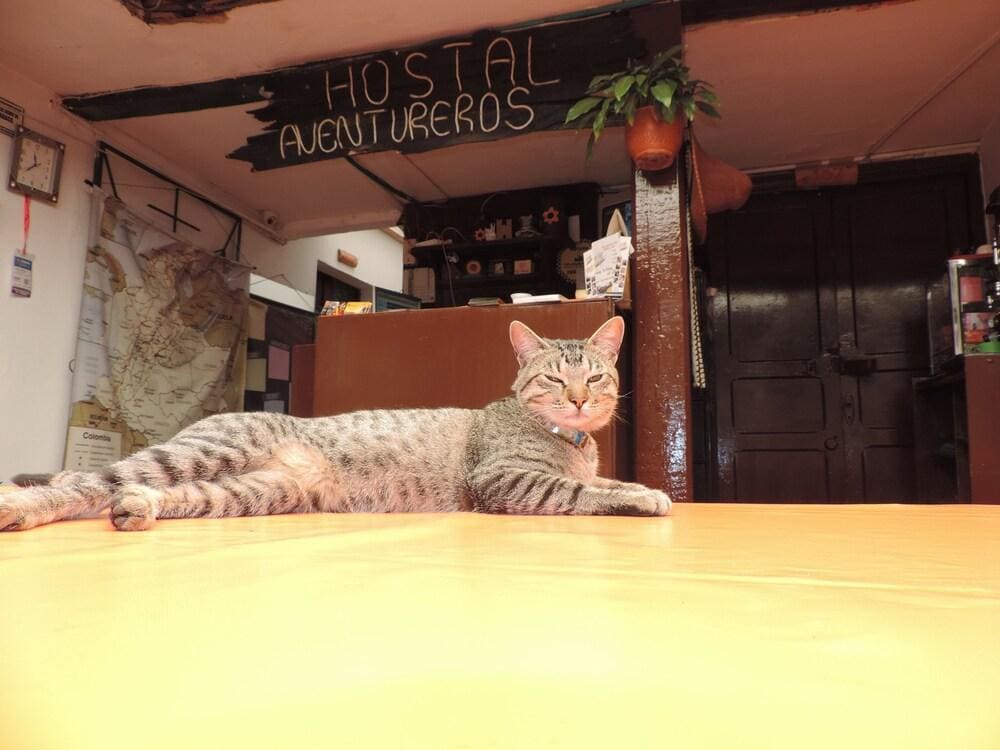 Hostal Aventureros de la Candelaria