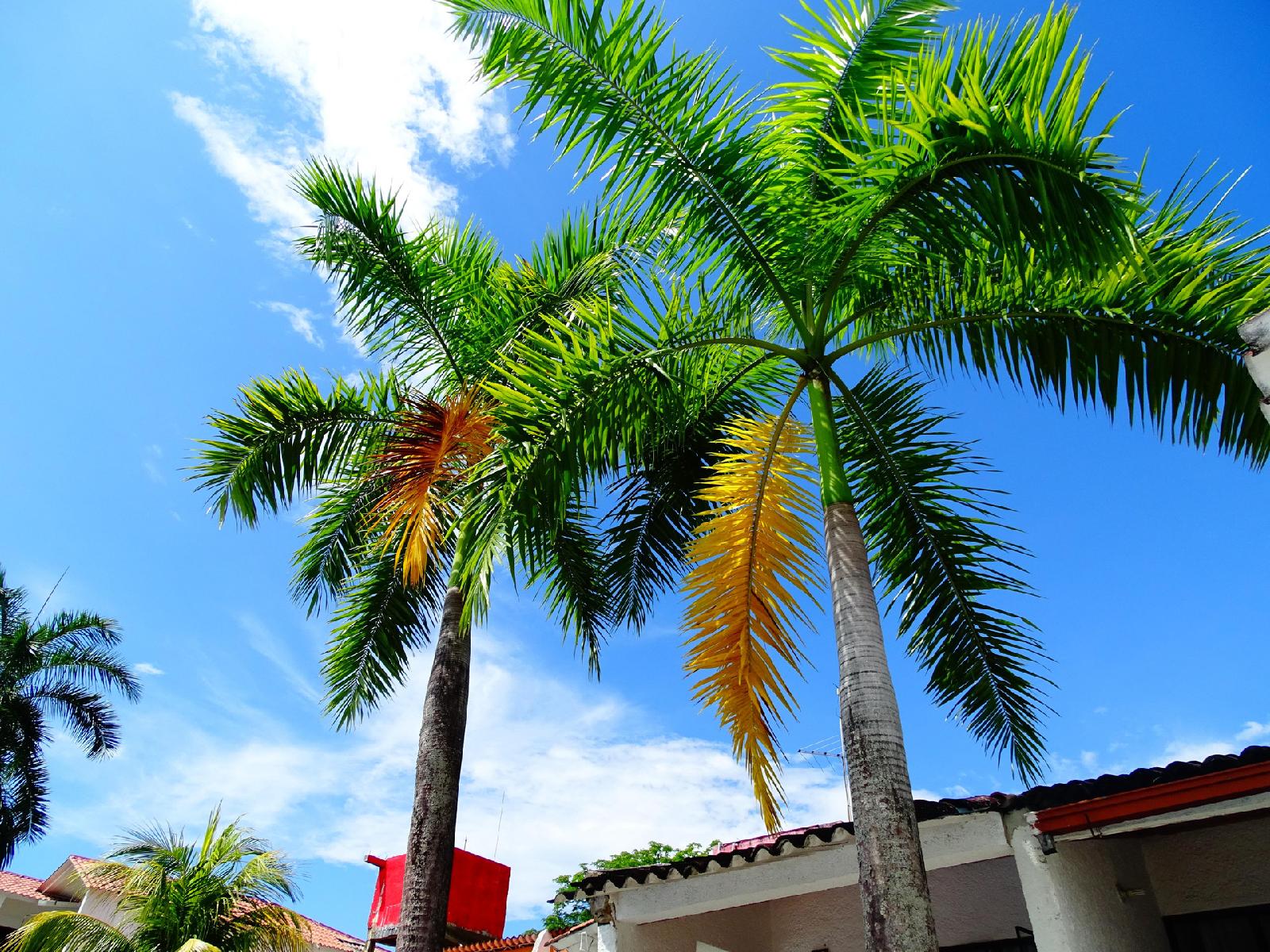Hotel Campestre La Alborada
