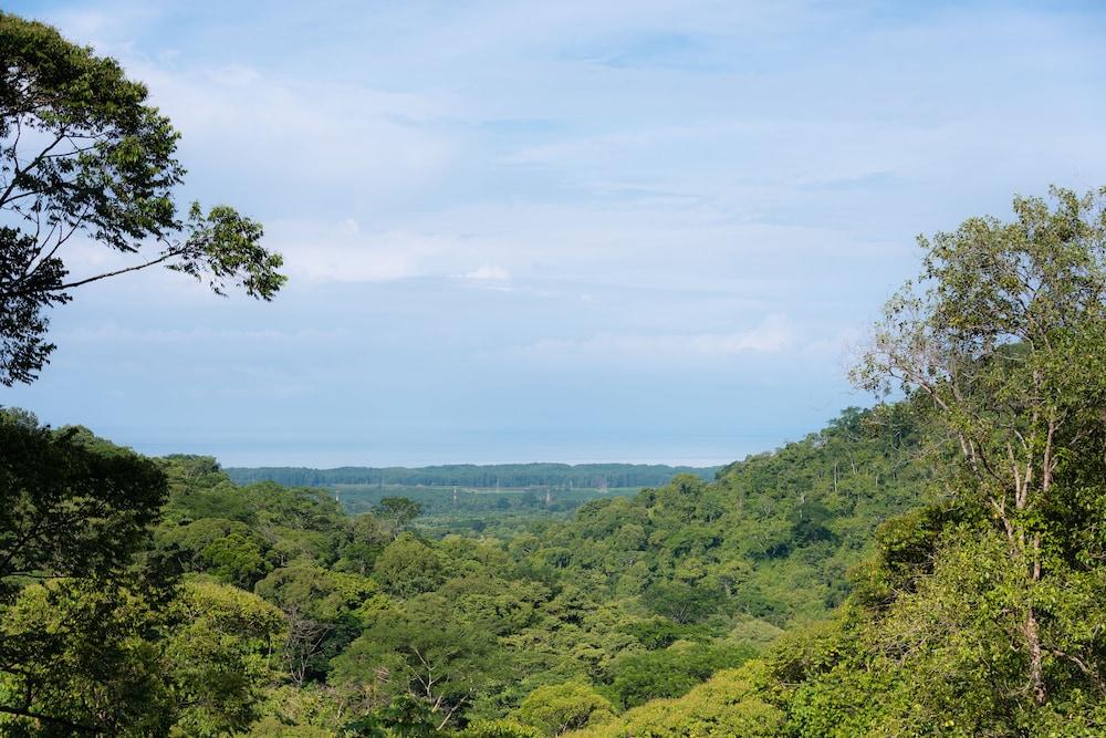 Portasol Rainforest and Ocean View Living